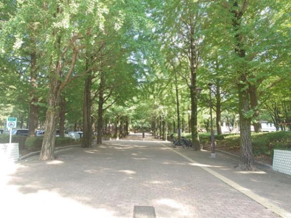 桜川グレースマンション(城北中央公園)