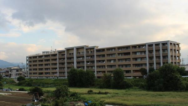 ネバーランド西京極