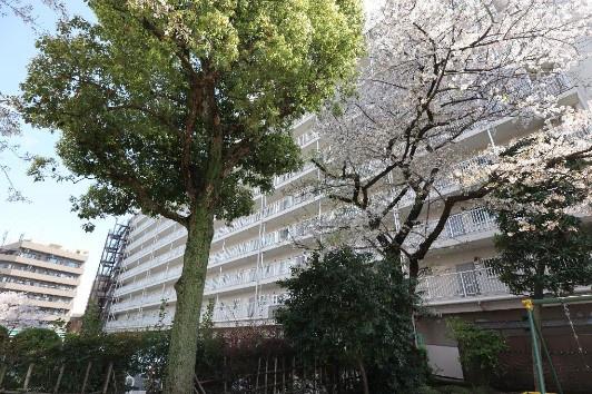 江戸川ハイツ