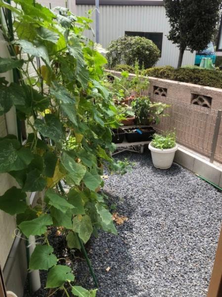足立区古千谷本町２丁目の中古一戸建て