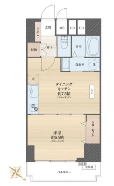 サンライズ蓮根