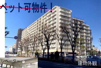東武大師前サンライトマンション　3号館
