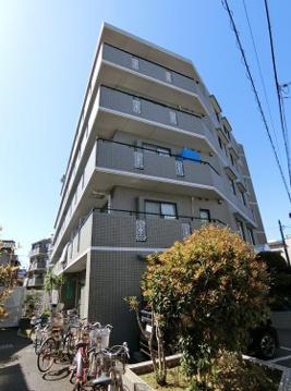 エヴァーグリーン立石