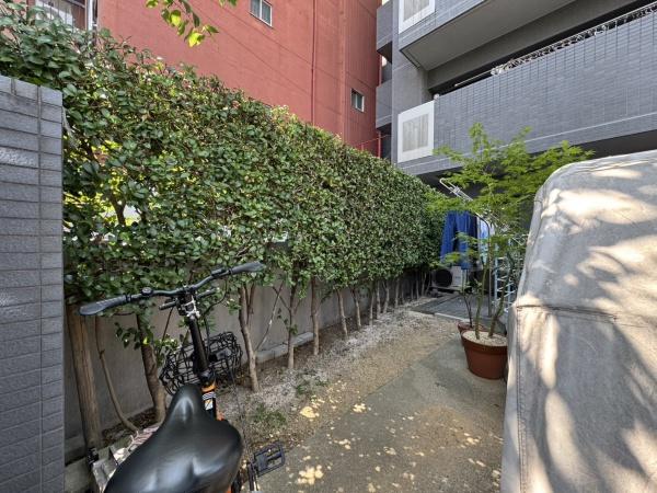 エクセルシオール新宿西戸山