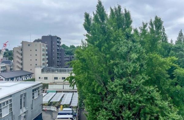 池之端永谷コーポラス