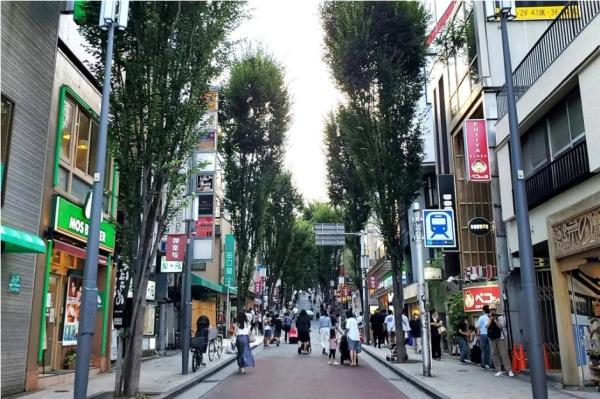 アトラスアベニュー文京関口