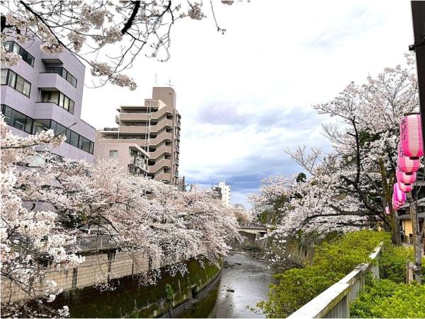 アトラスアベニュー文京関口
