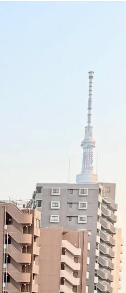 グラントゥルース東向島