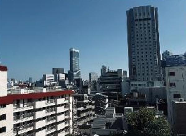 ジオ新宿百人町
