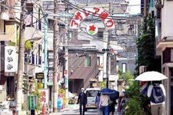 ライオンズマンション六義園