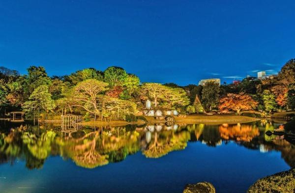 ライオンズマンション六義園