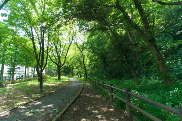 パラッシオ赤塚公園