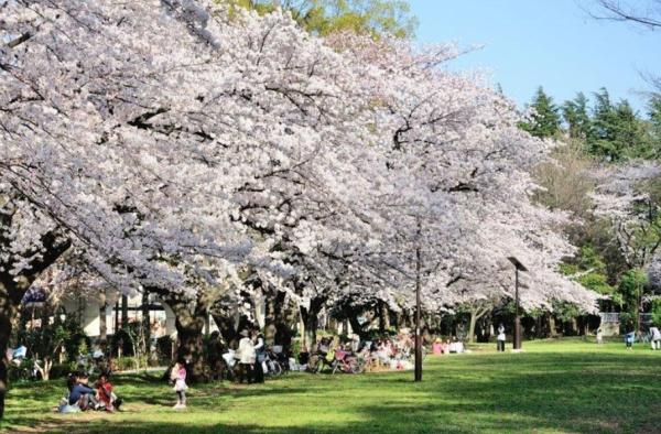 パラッシオ赤塚公園