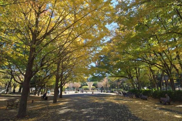 パラッシオ赤塚公園