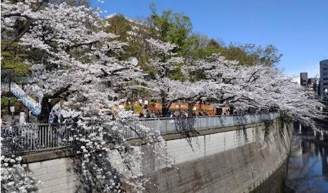 セブンスターマンション護国寺