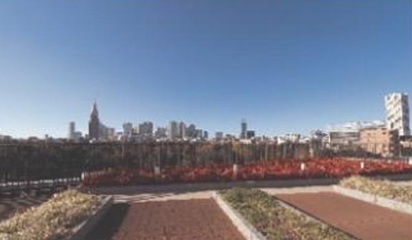 マジェスティハウス新宿御苑パークナード(その他)