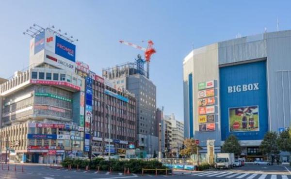 目白ガーデニア(その他)