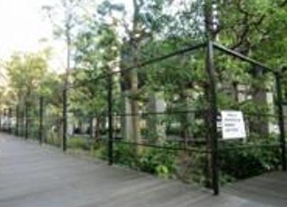 シティタワー新宿新都心