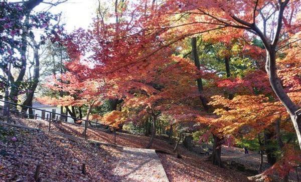 市ヶ谷グリーンハイツ