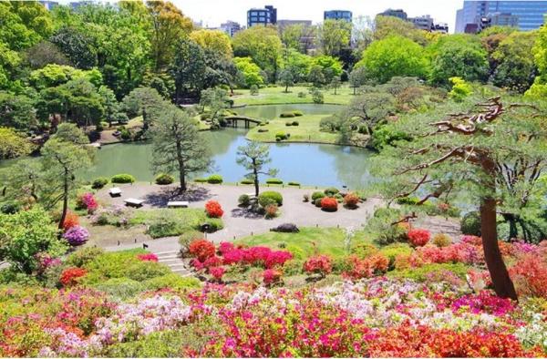 駒込千成オリエントコート