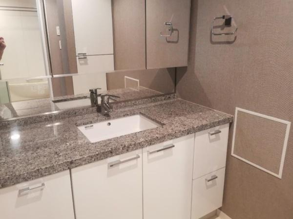 シティタワーズ豊洲ザ・シンボル