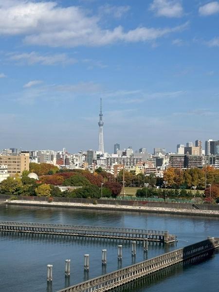 シティコープ豊洲