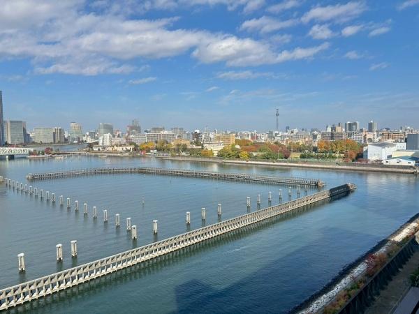 シティコープ豊洲