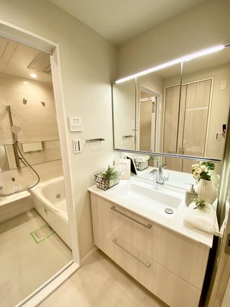 シティタワーズ豊洲ザ・ツインノースタワーＮ棟