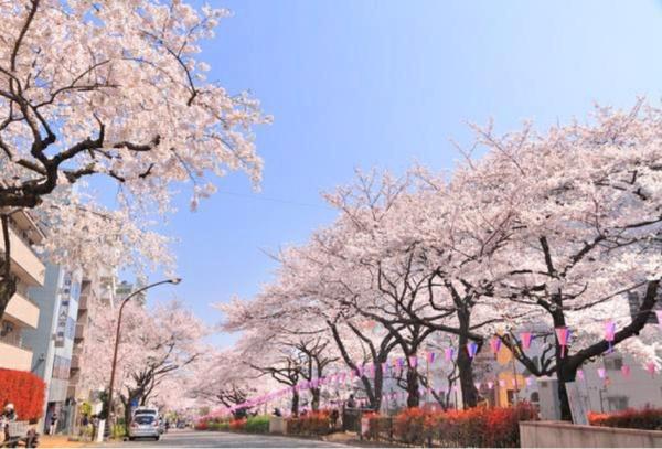 オープンレジデンシア小石川播磨坂