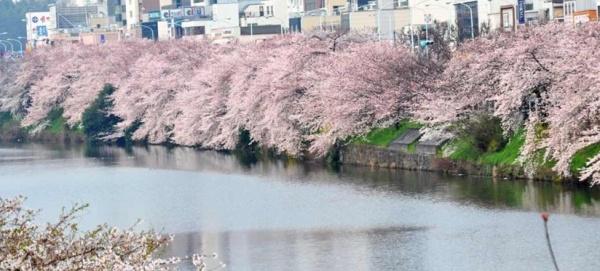 エステムプラザ市谷外濠公園