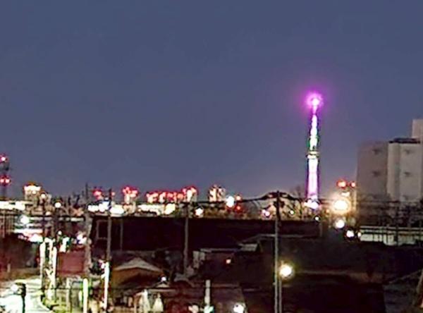 エンゼルハイム入谷南