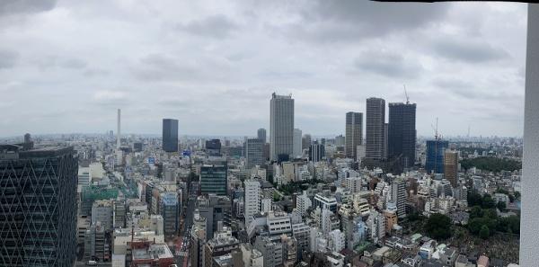 グランドミレーニア