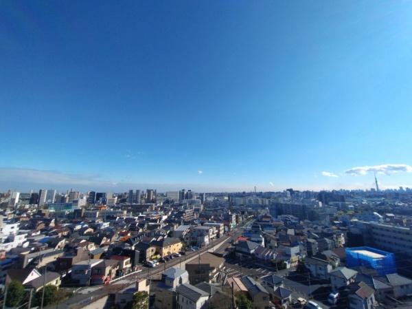 シティテラス金町A棟