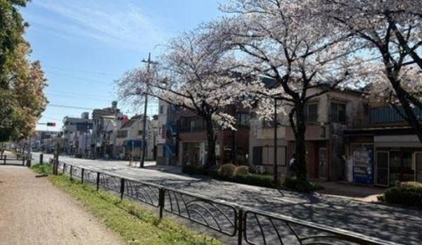 葛飾区お花茶屋２丁目　売土地