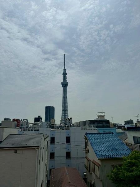 ニューキャピタル押上
