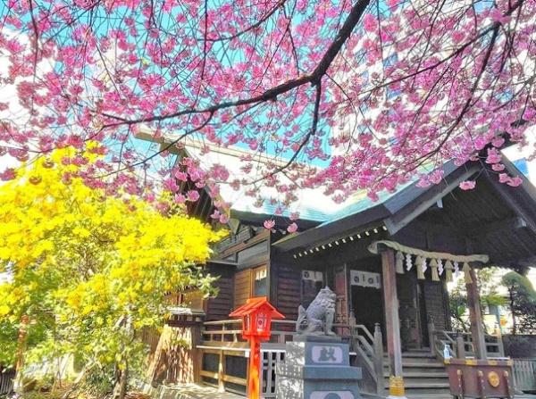 ライオンズシティ蔵前
