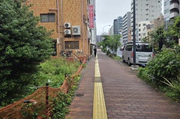 文京区小石川４丁目　売土地