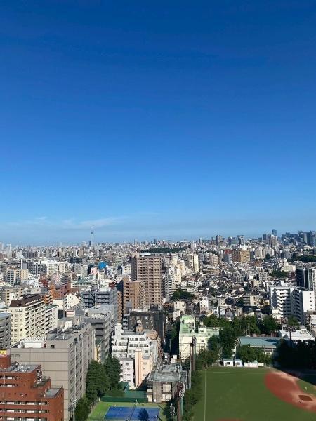 ライオンズタワー池袋