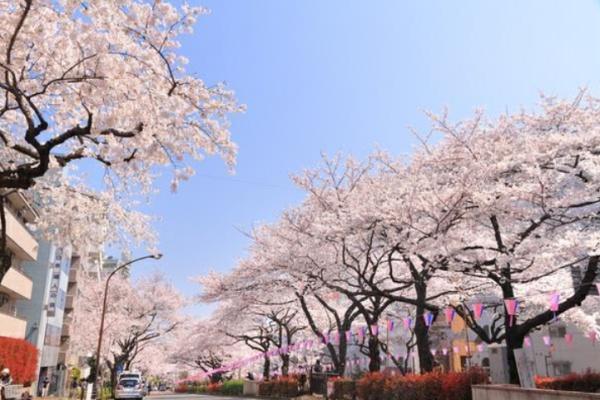 シティハウス文京茗荷谷レジデンス