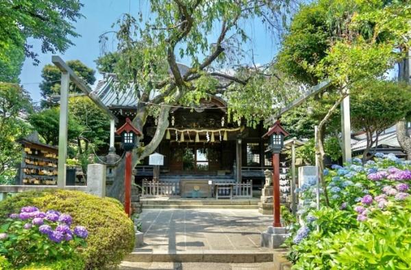 スカイコート茗荷谷壱番館