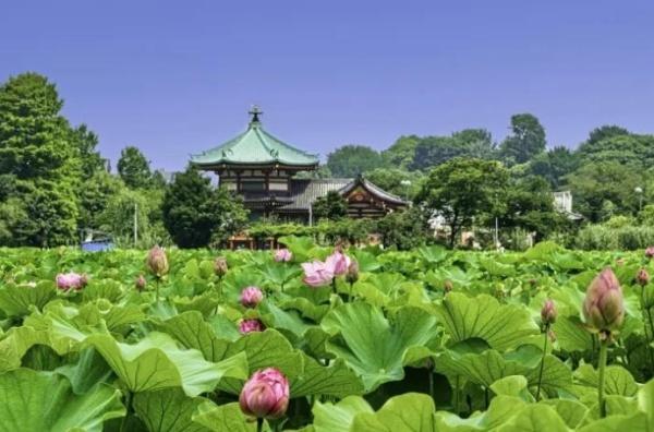 ダイアパレス御徒町Ⅴ