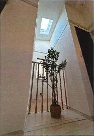葛飾区新小岩３丁目の中古一戸建て