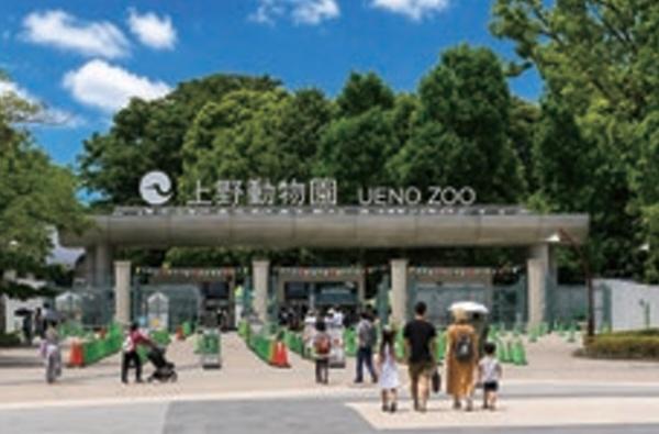 セジョリ上野