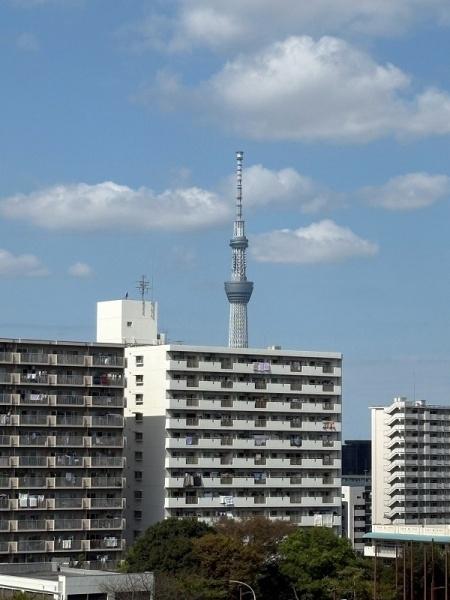 小松川パークマンション２号棟