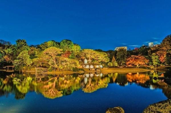 オープンレジデンシア六義園サウスコート