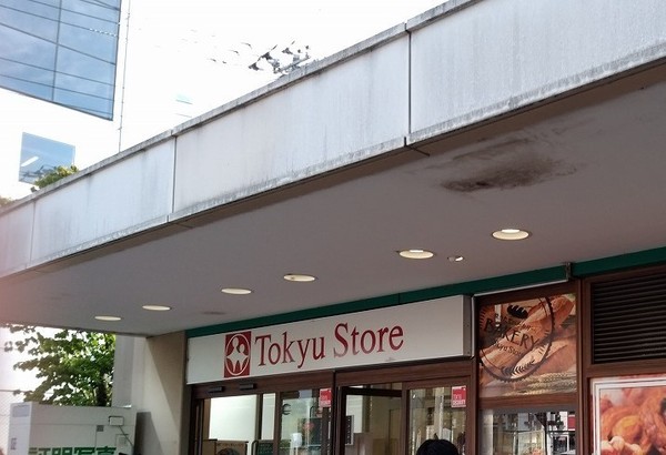 セザール大岡山(東急ストア 大岡山店)