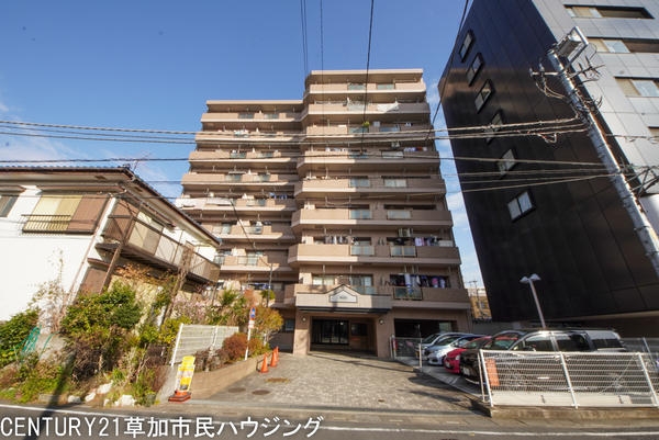 ベルドゥムール草加氷川町