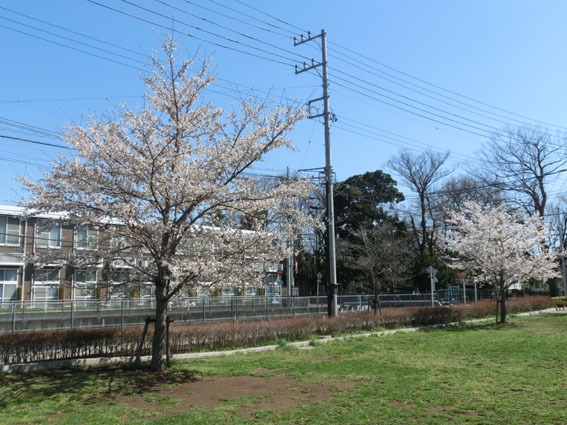 クレール草加二番館(吉町公園)