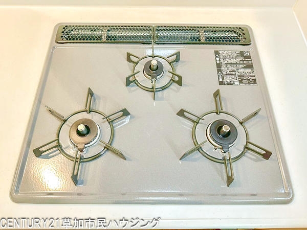 草加市青柳7丁目　新築一戸建て　3期D号棟