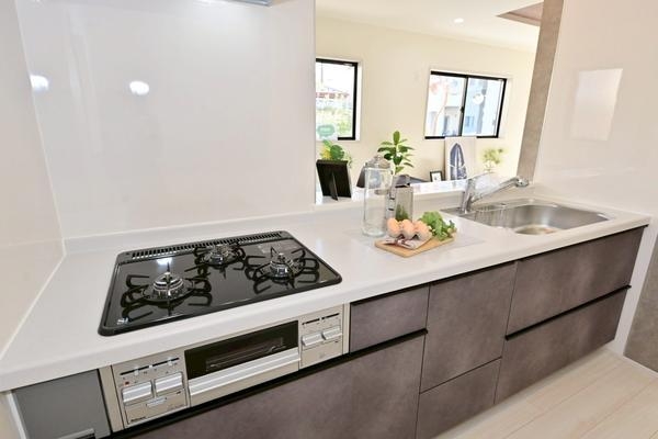 草加市柳島町　新築一戸建て　8期10号棟